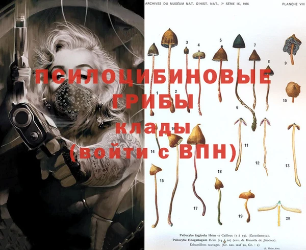 jwh Костерёво