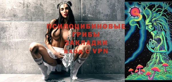 стаф Коряжма