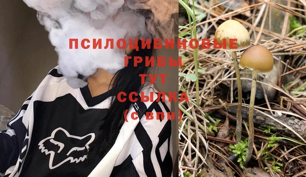 стаф Коряжма